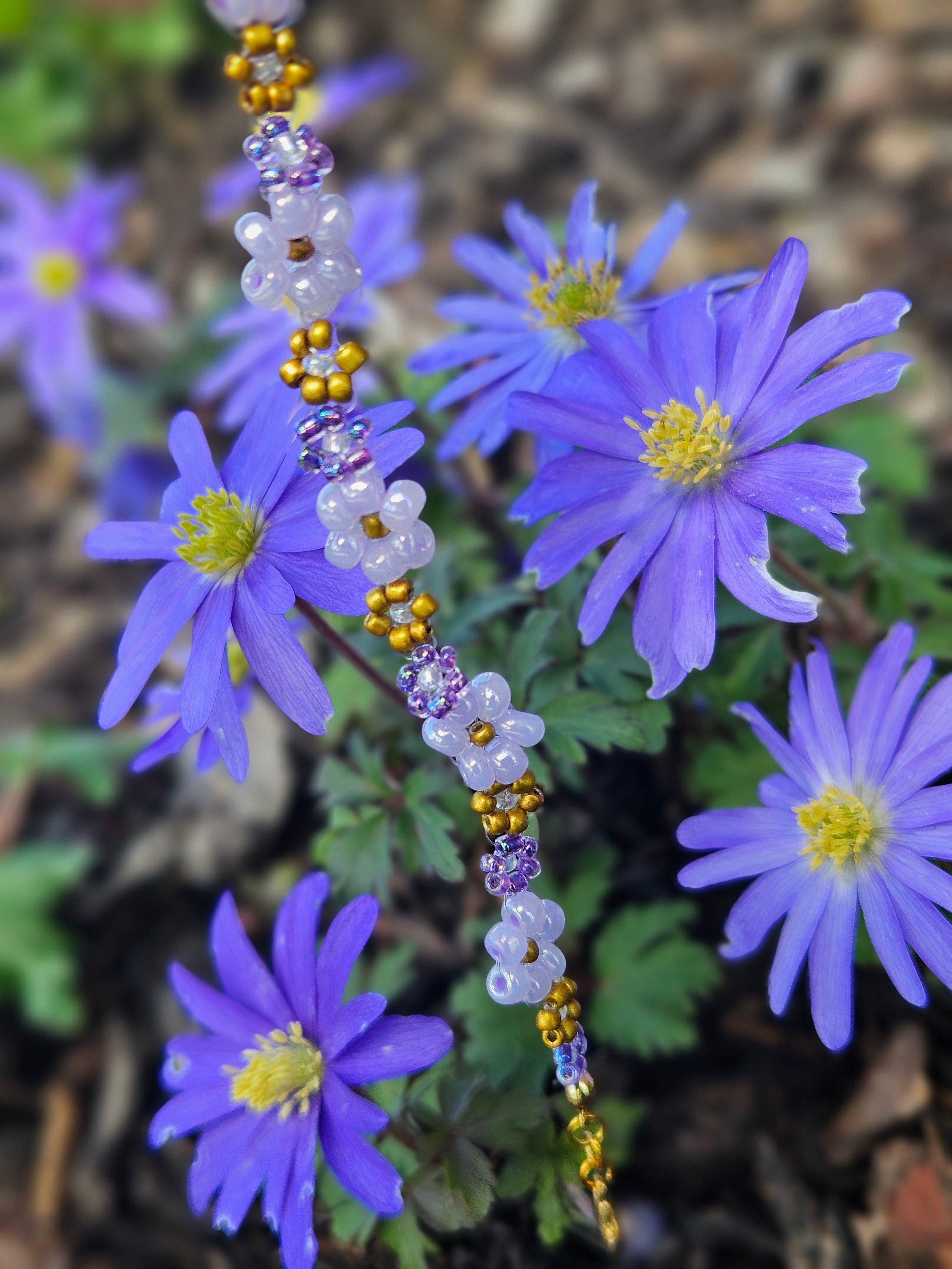 Purple gold Daisy
