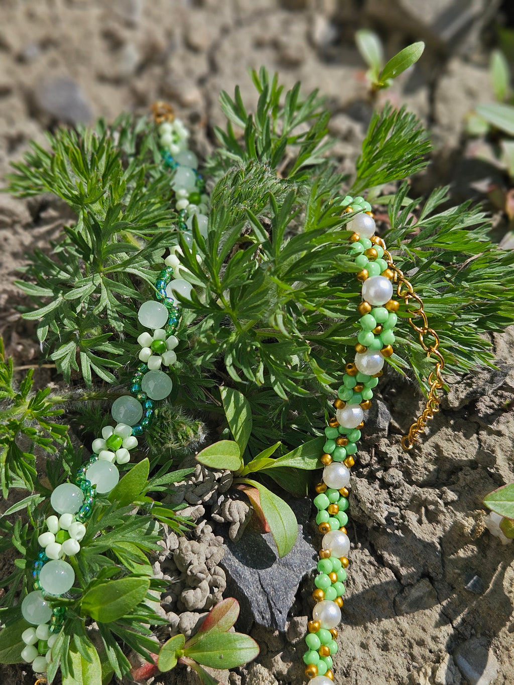 Green Daisy