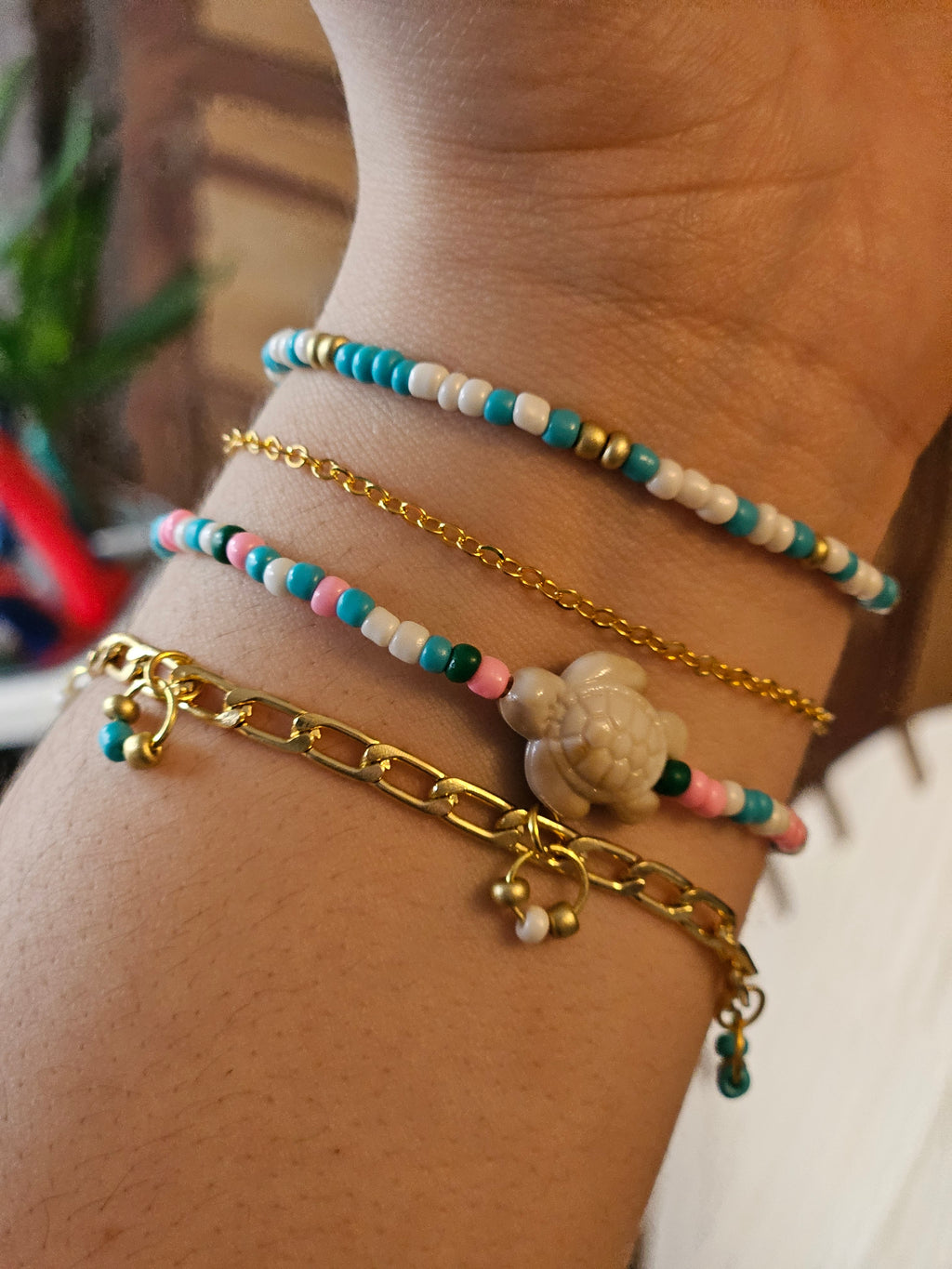 Cute Turtle Set