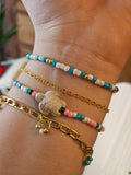 Cute Turtle Set
