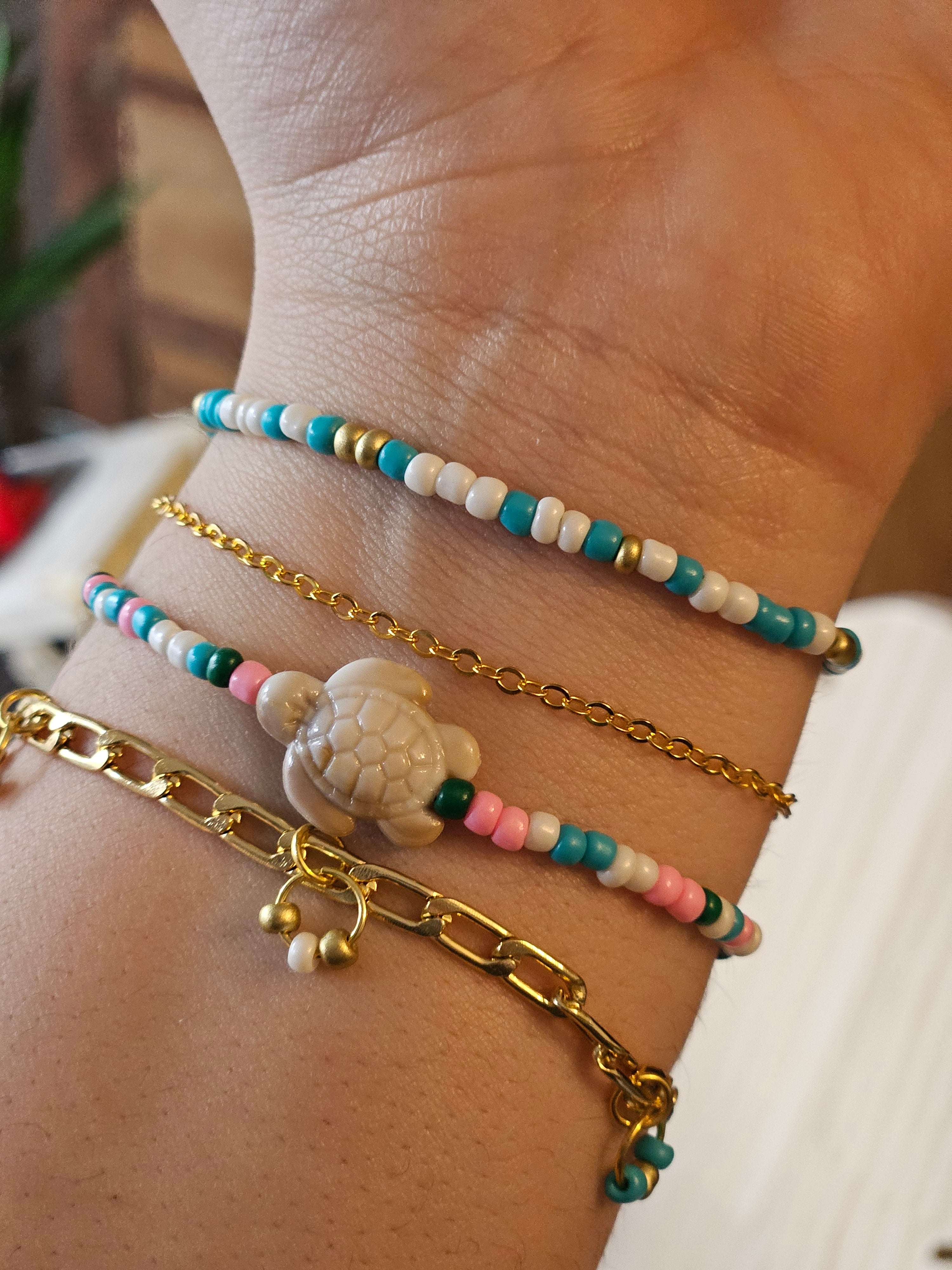 Cute Turtle Set
